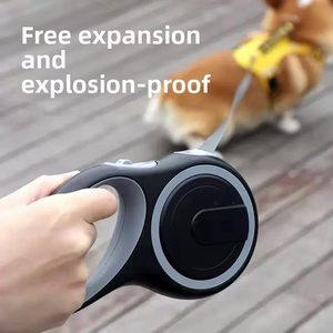 Correa Retráctil Automática para Perros y Gatos, Cuerda de 3m, Cadena para Pasear Perros al Aire Libre - Product Image 4