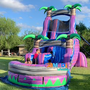 Tobogán Acuático Inflable Gigante de PVC Resistente para Exteriores, Comercial, con <span class=keywords><strong>Piscina</strong></span> <span class=keywords><strong>Desmontable</strong></span> para Jardín, a Precio Económico - Product Image 6