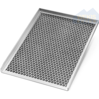 Plaque de cuisson alvéolée WEKIS LFGB en acier inoxydable 430 de 4 mm d'épaisseur, antiadhésive, à chaleur uniforme, pour barbecue au gaz, au charbon de bois et aux granulés