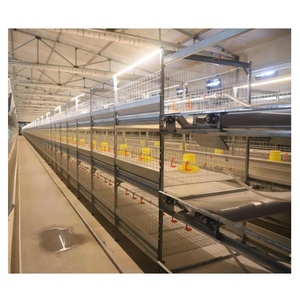 H Type Couche Poulet Poules <span class=keywords><strong>Cage</strong></span> Ferme De Volaille Mangeoire Poussins Rôtissoire Équipement Automatique Batterie Tiré Poulailler Maison - Product Image 1