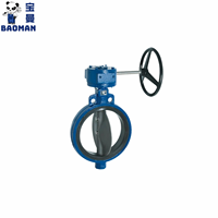 Válvula de Control de Lodos de la Serie F634 de Emerson Keystone, Material de Hierro Fundido y Acero al Carbono, Resistencia a la Corrosión del Hierro Fundido