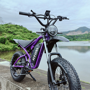 Nouvelle Moto Électrique Tout-Terrain pour Adultes, Moteur Haute Vitesse 1000W, Pneus Larges 20 Pouces, 48V 15Ah, Vélo Électrique Tout-Terrain - Product Image 4