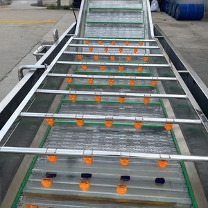 Ligne de <span class=keywords><strong>production</strong></span> de presse-agrumes pour fruits et légumes nouvelle condition Machines de traitement de jus de pomme pour la <span class=keywords><strong>production</strong></span> de légumes - Product Image 4
