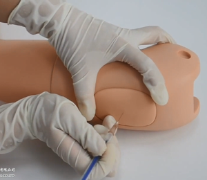 หุ่นจำลองพีวีซีสำหรับวัด<span class=keywords><strong>ความ</strong></span><span class=keywords><strong>ดัน</strong></span><span class=keywords><strong>โลหิต</strong></span><span class=keywords><strong>การ</strong></span>ฝึกแขนสำหรับพยาบาลโรงเรียนโรงพยาบาลวิทยาศาสตร์<span class=keywords><strong>การ</strong></span>แพทย์แบบครึ่งตัว - Product Image 3