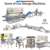 Fengxiang Commerciële Hoge Kwaliteit 304 RVS Groente- en Fruit Mango Verwerkingsmachine CE Gecertificeerd 220V/380V 1kW Schilmachine