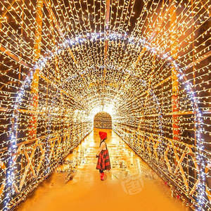 Lumière de tunnel festif pour parc, allée, entrée de jardin et présentation paysagère extérieure - Product Image 5