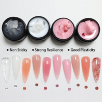 YouGel Vernis Gel UV 10 Couleurs Formule Solide Non Collante pour Extensions d'Ongles avec Constructeur de Peinture en Bouteille (Non Toxique)