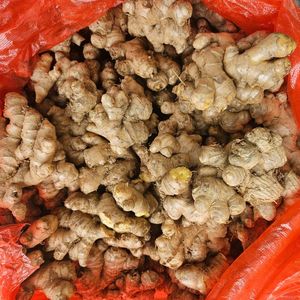 Jengibre vietnamita Premium con procesamiento limpio Ideal para productos saludables de bebidas y venta al por mayor - Product Image 2