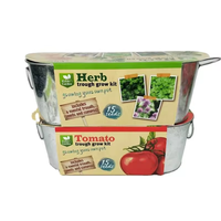 Plateau de plantation de légumes fenêtre tomate à travers Kit de culture Pots et fleurs plateau de démarrage en métal Pot de jardinière de jardin seau en métal
