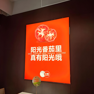 Boîte à lumière LED suspendue HX <span class=keywords><strong>Kabra</strong></span> pour exposition événementielle - Mur d'arrière-plan publicitaire en alliage d'aluminium avec éclairage RVB, design durable - Product Image 5