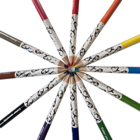 Ensemble de crayons de couleur personnalisés certifiés EN71 ISO ASTM-F963, 12 couleurs, pingouin mignon, plastique triangulaire, 3,5 pouces, directement de l'usine