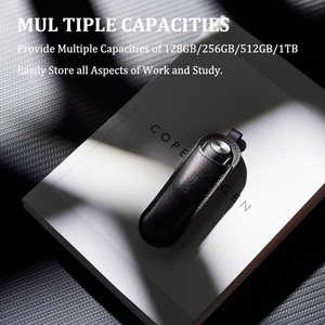 إكسر الأصلي JumpDrive P30 المعادن عالية السرعة <span class=keywords><strong>USB</strong></span> 3.2 الجنرال 1 ماكس 450MB/s محرك فلاش <span class=keywords><strong>USB</strong></span> 128GB 256GB <span class=keywords><strong>512GB</strong></span> 1 تيرا بايت الذاكرة <span class=keywords><strong>USB</strong></span> عصا - Product Image 6