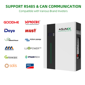 UAE在庫 SUNEX 5kWh 10kWh 15kWh 20kWh 25kWh 30kWh リチウム電池 <span class=keywords><strong>48V</strong></span> 600Ah <span class=keywords><strong>500Ah</strong></span> 400Ah 300Ah 200Ah 100Ah 太陽光発電システム用 - Product Image 5
