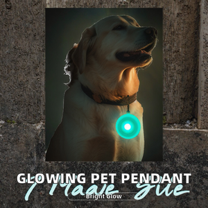 Collar Luminoso de Carburo de Silicio para Mascotas, Colgante con Agarre Suave, Adornos Brillantes para Perros y Gatos, Precio de Fábrica Petop - Product Image 2