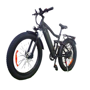 Versatile Japan Electric Bicycle With 