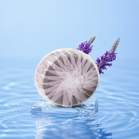 Pastilles nettoyantes désodorisantes écologiques jetables pour cuvettes de toilettes HongHan – Détergents de salle de bain, élimination des taches, ingrédients désodorisants