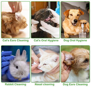 50 Unidades por Caja, Productos para Mascotas, Hisopos de Algodón Llenos de Líquido para Animales, Hisopos de Algodón para Oídos de Perro - Product Image 5
