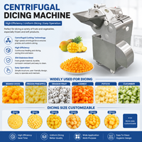 Industriële machine voor het maken van bevroren groenten en fruit (mango, tomaat, wortel) in blokjes, dobbelstenen en schijfjes; aardbeien snijmachine voor groenten.