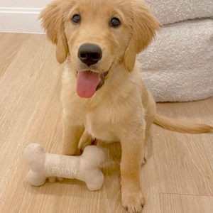 Hızlı gemi kişiselleştirilmiş adı Pet çiğnemek oyuncaklar kemik şekli kumaş dayanıklı köpek oyuncak köpek Pet hediyeler için açık eğitim etkinliği - Product Image 4