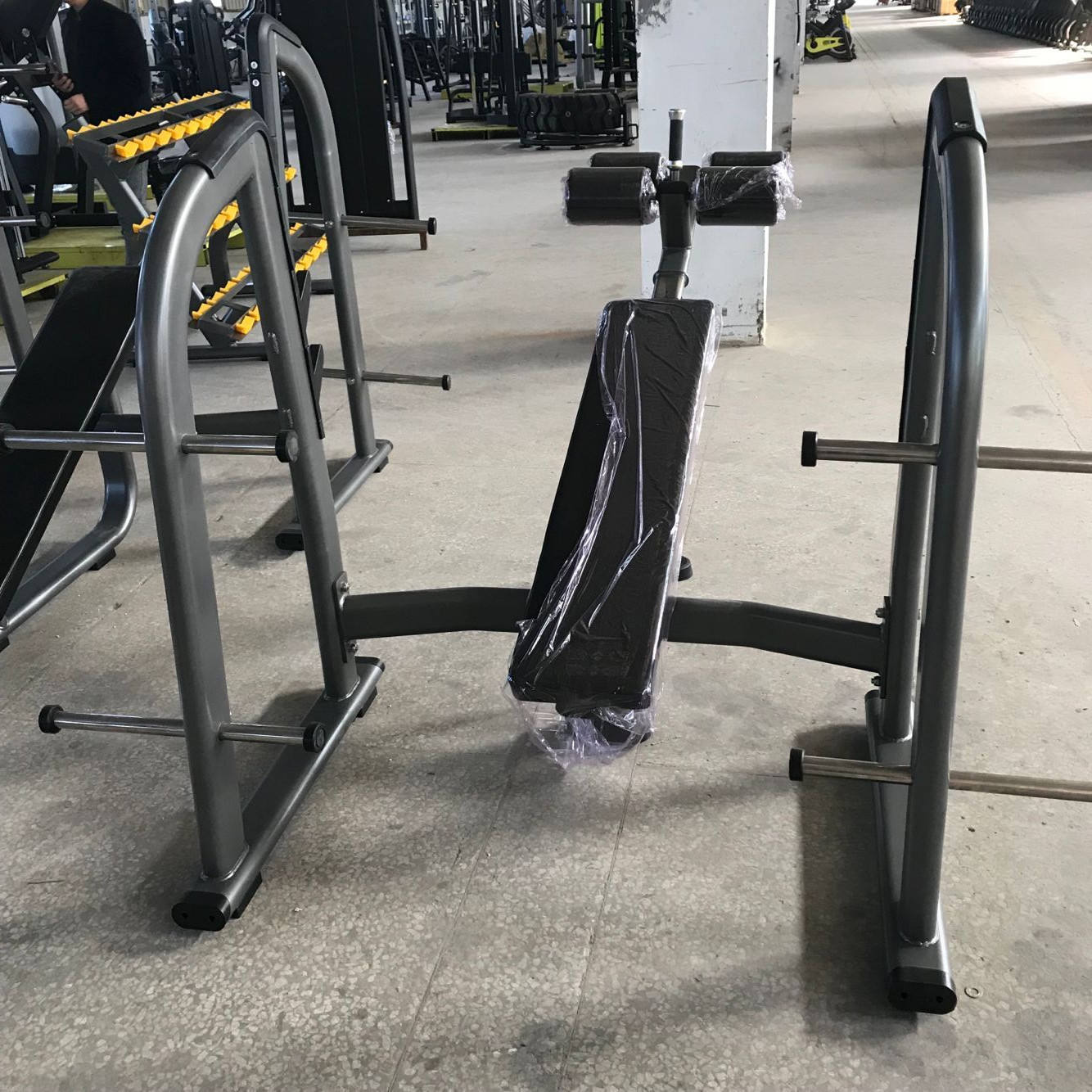 Rohsは、ジム用ボディービル用のプロのフィットネス機器金属製デライン