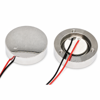 Sonde transducteur ultrasonique 37x10mm en acier inoxydable 304 pour appareil de soin du visage, usage professionnel en salon