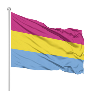 Bandiera Arcobaleno Personalizzata 3*5ft 100% Poliestere, Stampa Digitale, Bandiera LGBT Pride per Parate e Decorazioni Interne ed Esterne - Product Image 2