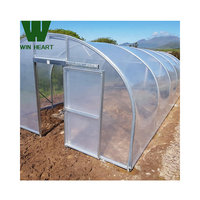 Serres tunnel en plastique avec kits