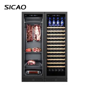 大容量肉类冰箱透明干制肉类冰箱葡萄酒和带灯的干制冰箱