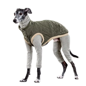Ropa de invierno personalizada de algodón cálido abrigo de galgo italiano ropa para perros - Product Image 1