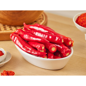 [Biggalchan 3kg] Piment fort de qualité export pour la cuisine internationale, épice K-Food, poudre de piment rouge - Product Image 1