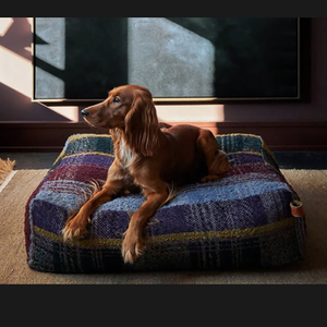 Mantas impermeables para <span class=keywords><strong>mascotas</strong></span>, capa superior suave, alfombrilla personalizada para perros y gatos, manta <span class=keywords><strong>de</strong></span> felpa para <span class=keywords><strong>mascotas</strong></span> al por mayor - Product Image 4