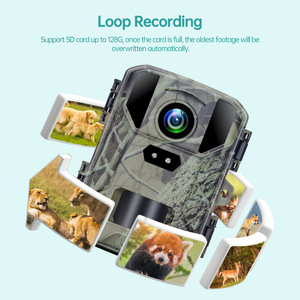 Caméra de chasse 4K 50MP avec vision nocturne, capteur infrarouge pour la surveillance de la faune, utilisation en extérieur, étanche IP65 - Product Image 2