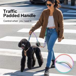 QQPETS Bungee a tracolla guinzaglio per cani regolabile in vita - Product Image 3