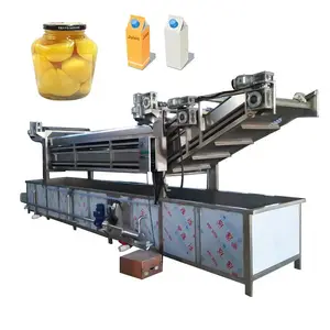 Continuous Tunnel Chamber food pasteurization machine pickled vegetable tomato paste pasteurizer