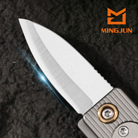 Mini couteau pliant en alliage de titane, couteau de poche tranchant en acier inoxydable, outil utilitaire portable EDC pour couper les fruits
