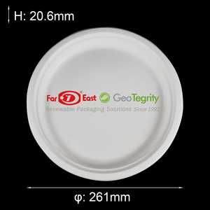 Platos de moldeo de pulpa de bagazo de caña de azúcar desechables compostables biodegradables sin PFAS - Product Image 5