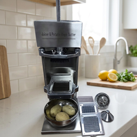 Machine à frites électrique multifonctionnelle QD-H004 400W, extracteur de jus de légumes et fruits et trancheuse à frites pour usine de snacks