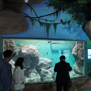 UV Protected High Impact Durable <strong>Rectangular</strong> Rainforest Landscaping <strong>Acrylic</strong> Fish Tank - Product Image 2
