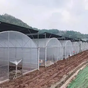 New Reinforced Plastic Greenhouse Tunnel For Gardens Farms And Manufacturing Plants