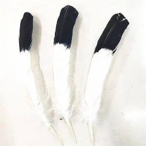 Hot Sale White With Black Tip Colorful Turkey Wing Quill Feathers For Hats Millinery DIY Decoration