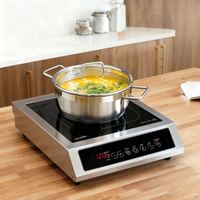 Table de cuisson électrique de comptoir plus sûre 3500W, cuisinière à induction à flamme intense, usage commercial