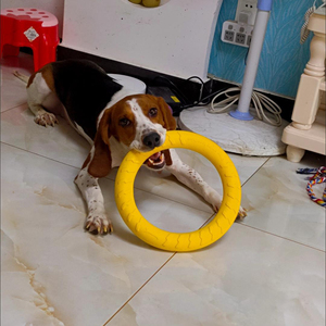 Anello di addestramento per cani da esterno per Fitness galleggiabile giocattolo e disco volante strumento di gioco interattivo per cani di piccole dimensioni di medie dimensioni - Product Image 4