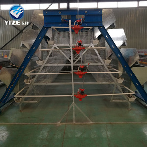 Poussins de chair d'un <span class=keywords><strong>jour</strong></span> de Chine à vendre en Afrique / Équipement d'élevage avicole pour poules pondeuses - Product Image 3