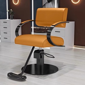 Sedia da Parrucchiere per Donna in Offerta, Sedia da Barbiere con Schienale Regolabile per Salone di Bellezza - Product Image 2