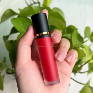 섹시한 빨간 무료 배송 립글로스 사용자 정의 로고 도매 개인 라벨 하이 퀄리티 매트 립글로스 액체 립스틱