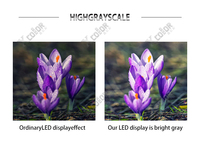 Module d'affichage LED extérieur 320*160mm P2.5-P10 Haute luminosité IP65 Module d'écran LED étanche pour la publicité sur panneau d'affichage