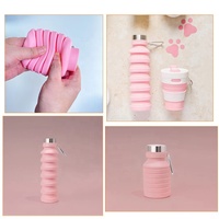 Accessoires pour animaux de compagnie Logo personnalisé pliable chat chien mangeoire à eau potable voyage Silicone Portable pliant bouteille d'eau