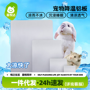 Joyful Pet Cooling Aluminum Plate 30x20cm Heat Dissipation Sheet For Rabbit Cage Summer Use - Product Image 2