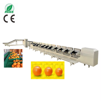 Máquina Automática Clasificadora de Frutas y Verduras, Clasificadora de Tamaño de Naranjas, Cerezas y Dátiles, Máquina Clasificadora de Papayas