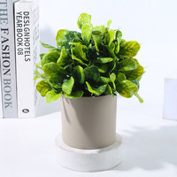 Décoration de Salon, Bureau, Entrée ou Cave à Vin : Petite Plante en Pot Artificielle